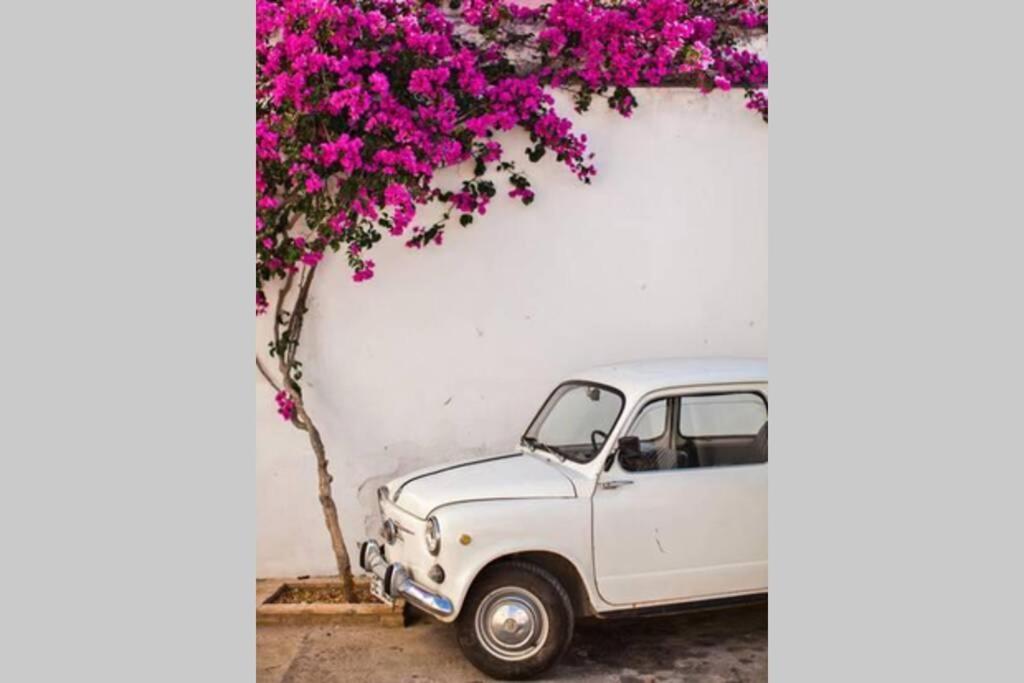 Mojacar Pueblo - Traditional Village House - The Old Jewish Quarter 外观 照片